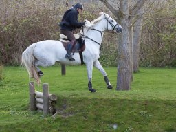 web-9412